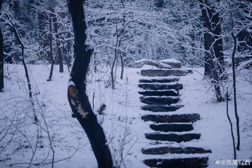 「云閑方外雪方歇?！?是北京的初雪呀。
攝影是我！
論將北大拍成北海道是什么體驗(yàn)
這套衣服是社團(tuán)的共用衣物哈哈哈@PKU_長(zhǎng)歌漢服社
cr@憑風(fēng)以西