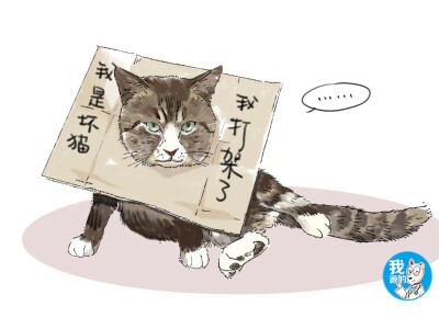 猫咪搞怪