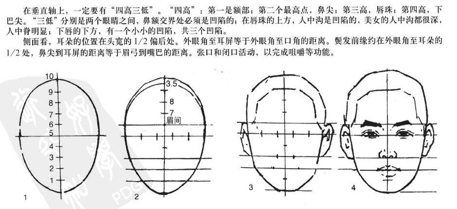 头部结构