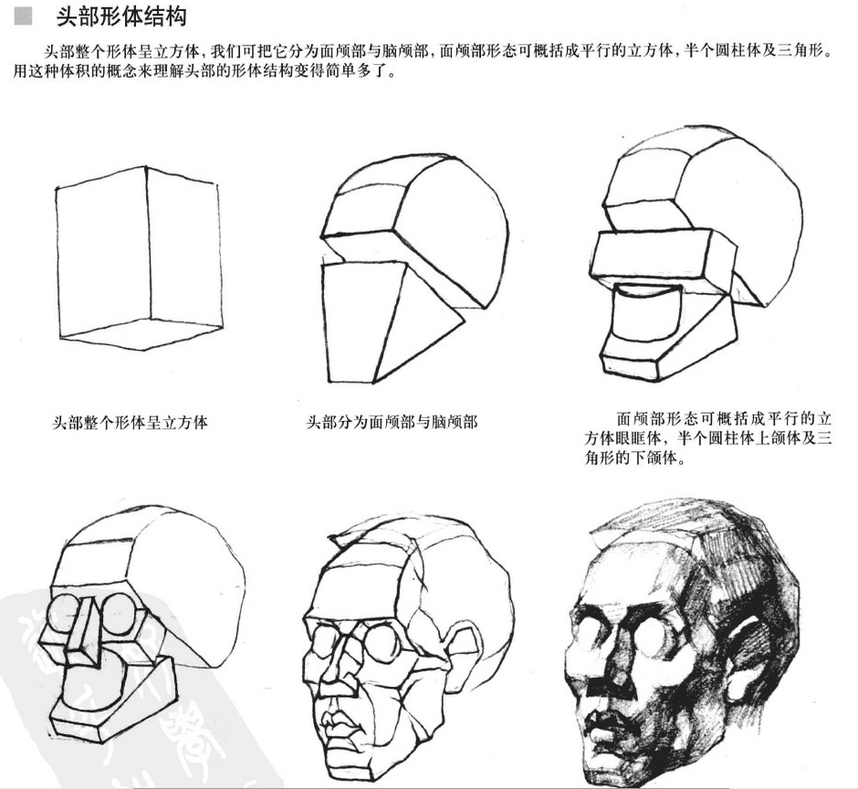 头部结构