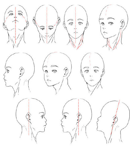 头部结构