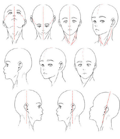 头部结构