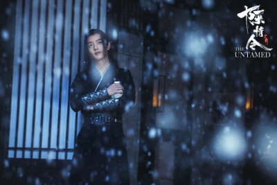 [cp]【令·影】#魏无羡蓝忘机雪夜谈心#
#陈情令# 静室琴声遥，埋雪风华貌。 ​​​[/cp]