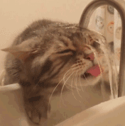 很久以前下载的