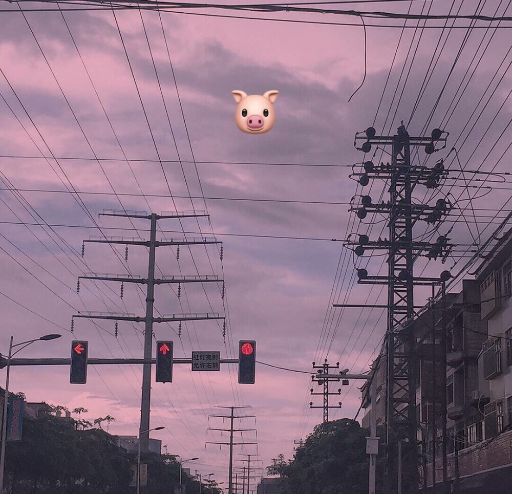 你一定要站在自己所热爱的世界里闪闪发光.