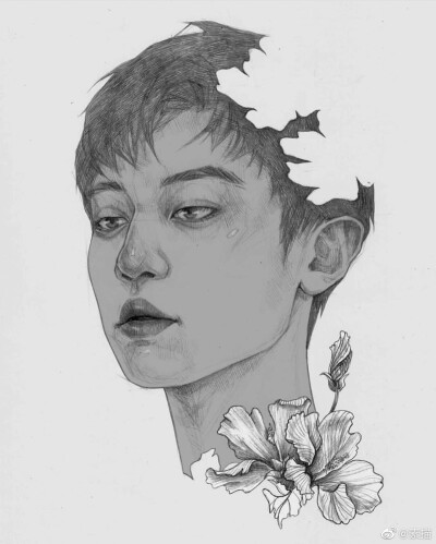 exo肖像素描作品 ins：mr.unforgivven