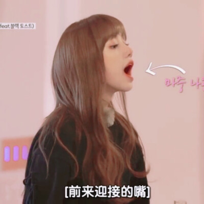 Blackpink 团综自截图 主Lisa Rosé