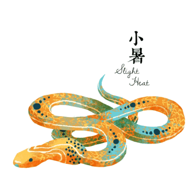 Cinyee Chiu的二十四节气！