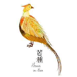 Cinyee Chiu的二十四节气！