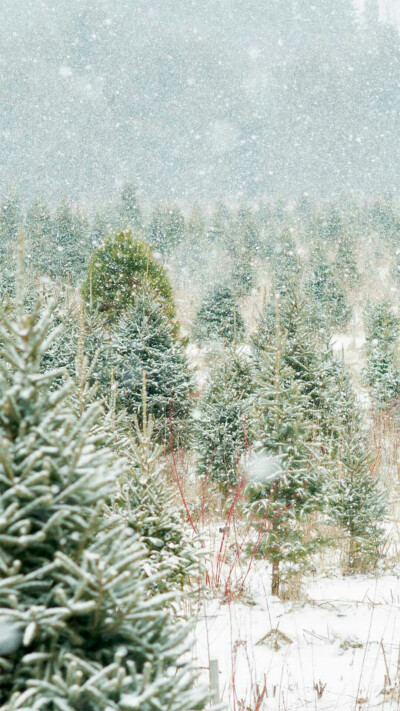 大雪