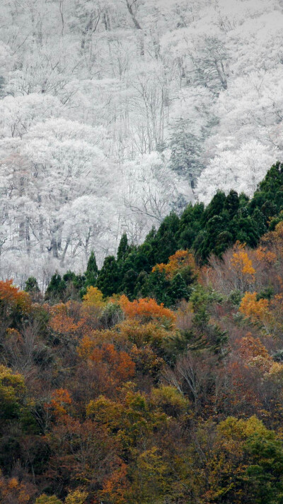 大雪