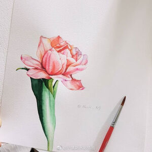 手绘花卉~[可爱] 
ins：nuii_art