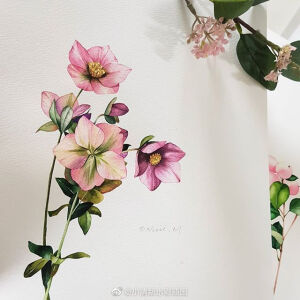 手绘花卉~[可爱] 
ins：nuii_art