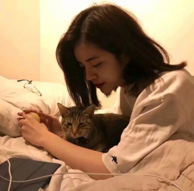 女头像
优质女头
猫