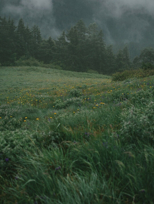 背景素材