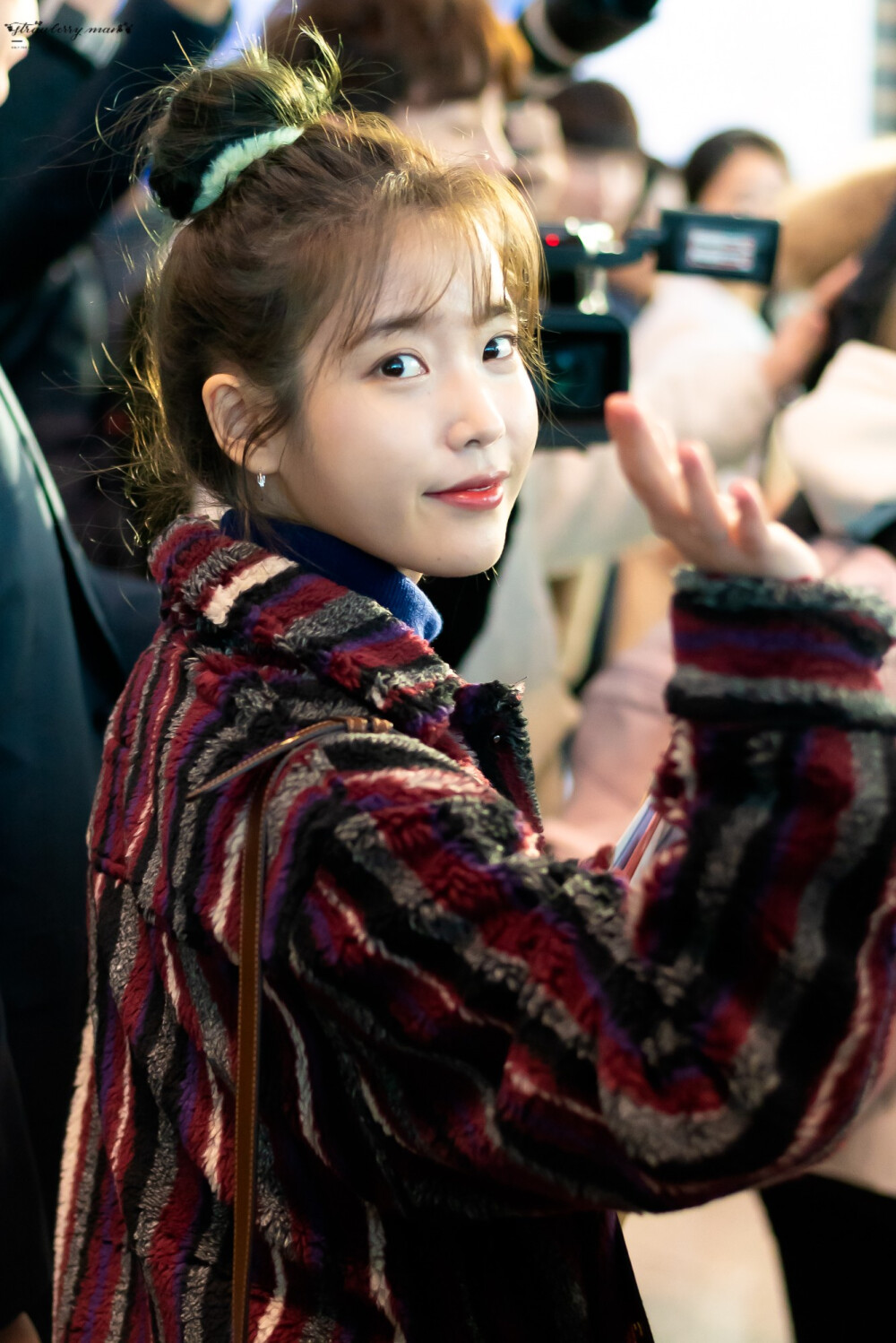 iu_strawberry