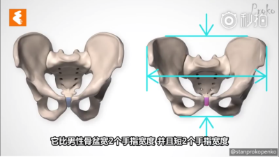 骨盆