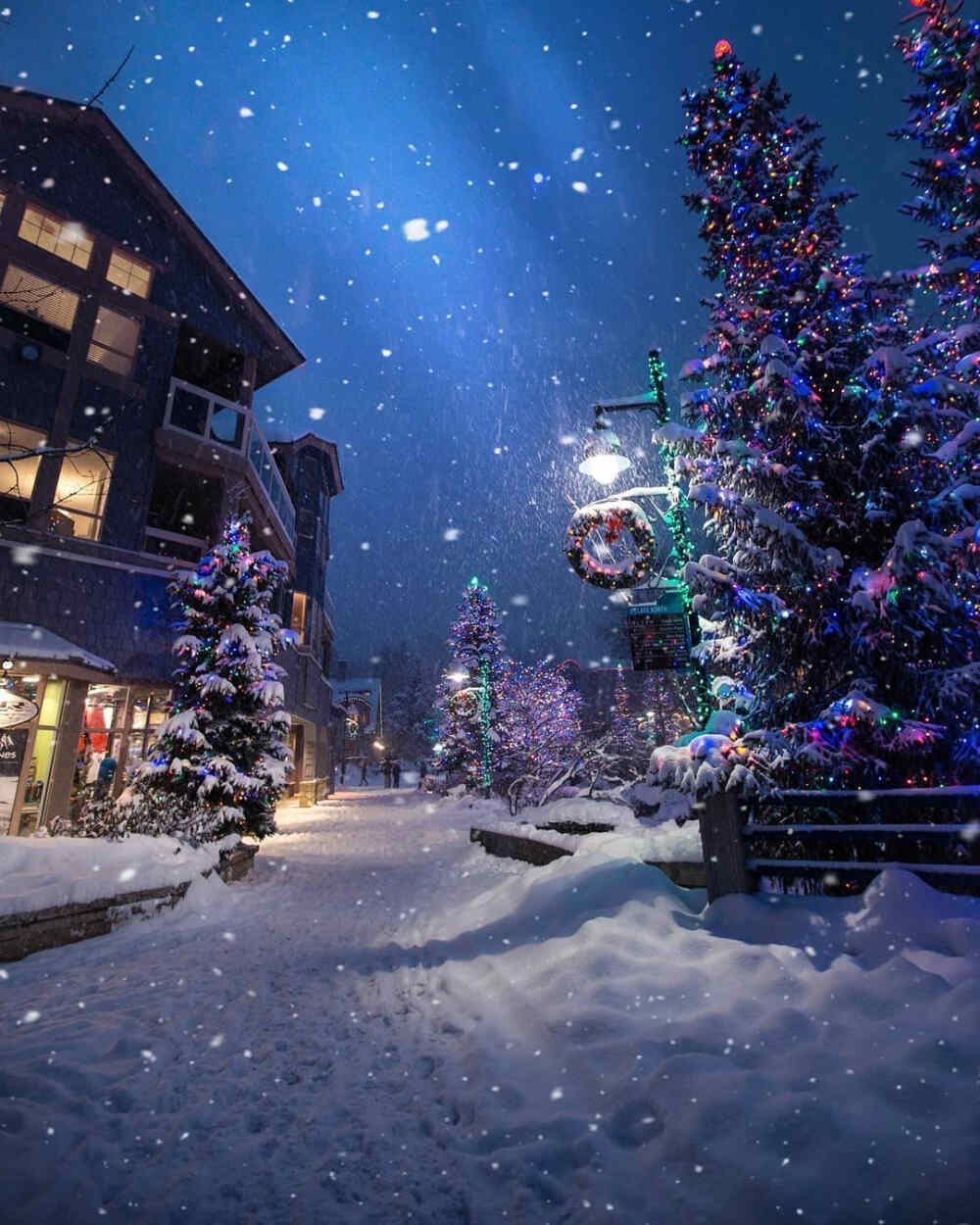 圣诞装饰 圣诞配图 圣诞背景