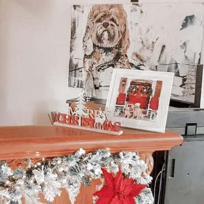 圣诞装饰 圣诞配图 圣诞背景