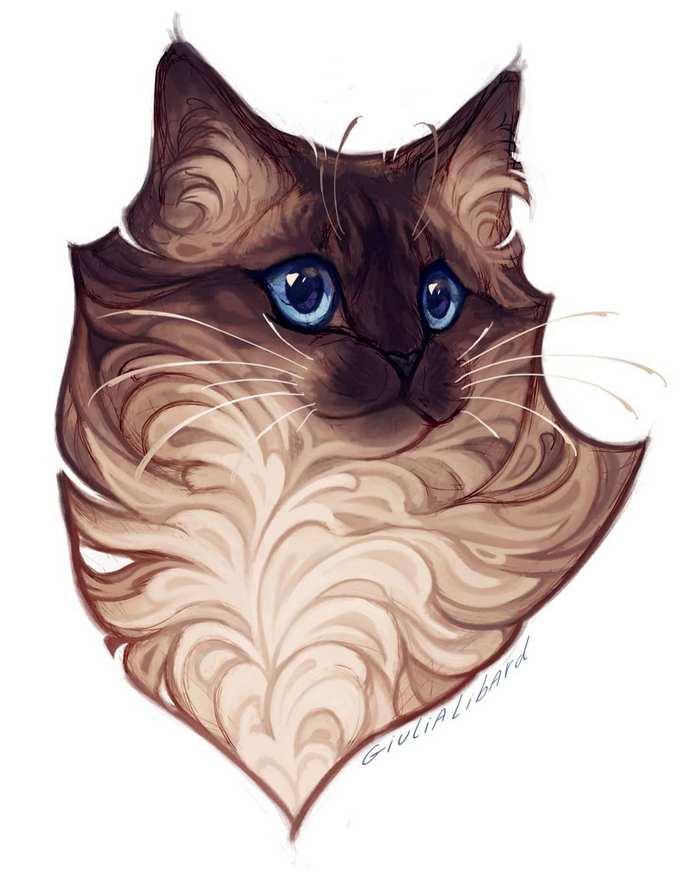 猫插画 By_giulialibard