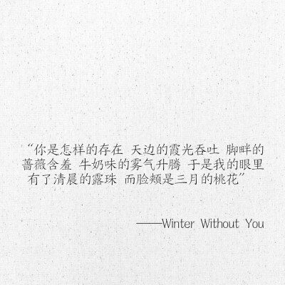 文字 网易云热评 Winter Without You