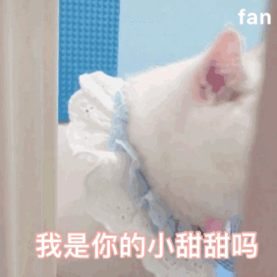群里存的