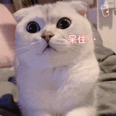 群里存的