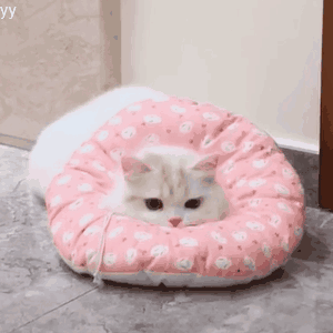 群里存的