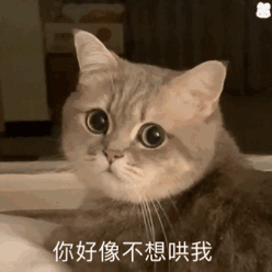 群里存的