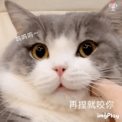 群里存的