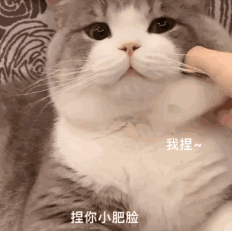 群里存的