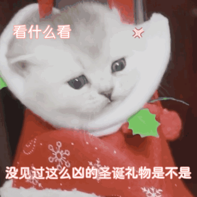 群里存的