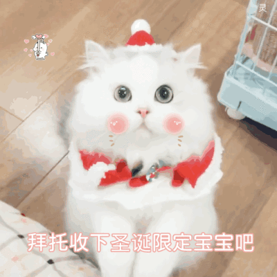 群里存的
