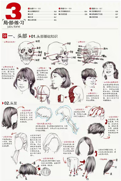 人体速写