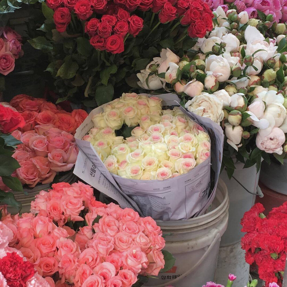 flower
©微博 peach4U·