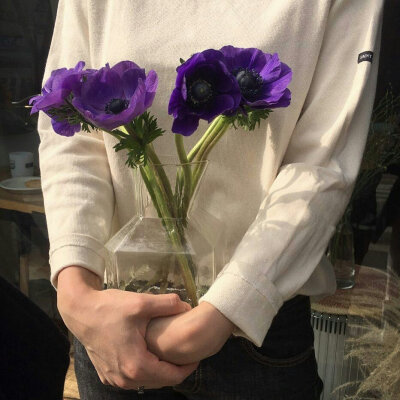 flower
©微博 peach4U·