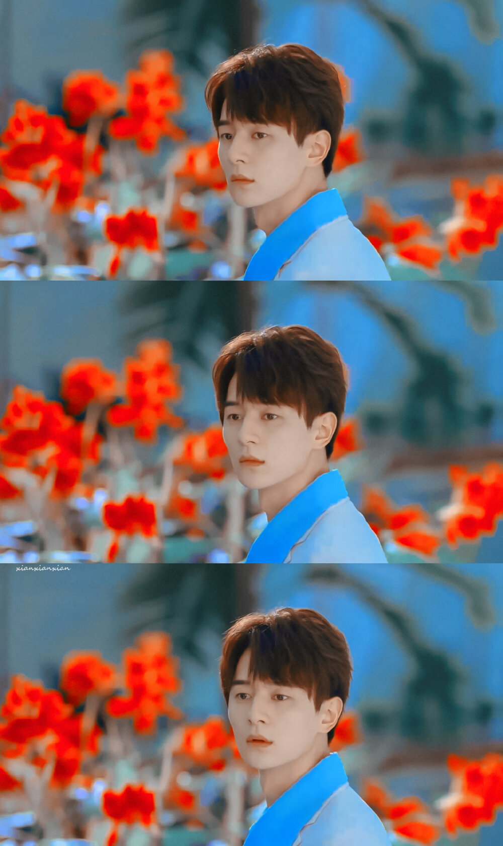 身为一个胖子网剧