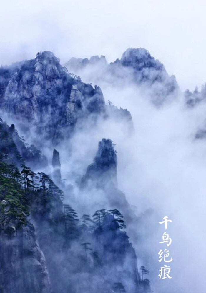 【中国节气：冬至】千鸟绝痕，寒谷阳生。临风雪舞，数九冲寒。南枝挂柿，窗外早梅。食饺暖心，羊汤驱寒，静体深眠。《月令七十二候集解》中记载：十一月中，终藏之气至此而极也。