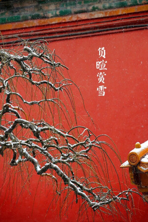 【中国节气：大雪】野鹤连霞，万物覆雪。呵气成霜，大雪封河。负暄赏雪，闻香寻梅。冬腊风腌，村酒浮香，围暖自得。古语说：大者，盛也，至此而雪盛。