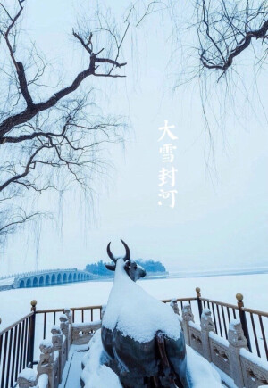 【中国节气：大雪】野鹤连霞，万物覆雪。呵气成霜，大雪封河。负暄赏雪，闻香寻梅。冬腊风腌，村酒浮香，围暖自得。古语说：大者，盛也，至此而雪盛。