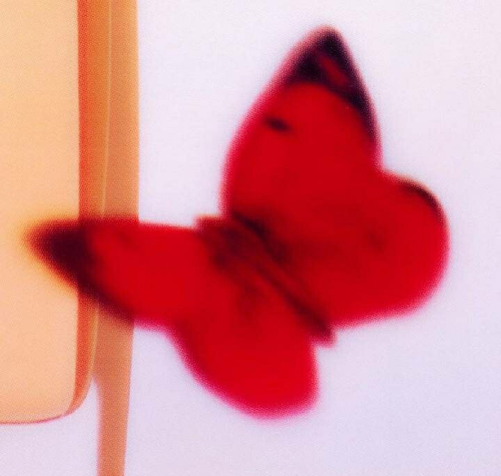 BUTTERFLY