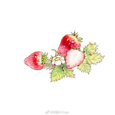 #水彩#
作者：@饲猫小Yuan
在寒冬里，也要好好对自己，多吃好吃的、多喝温润的汤水～等来年春天的时候，脸上才会粉扑扑