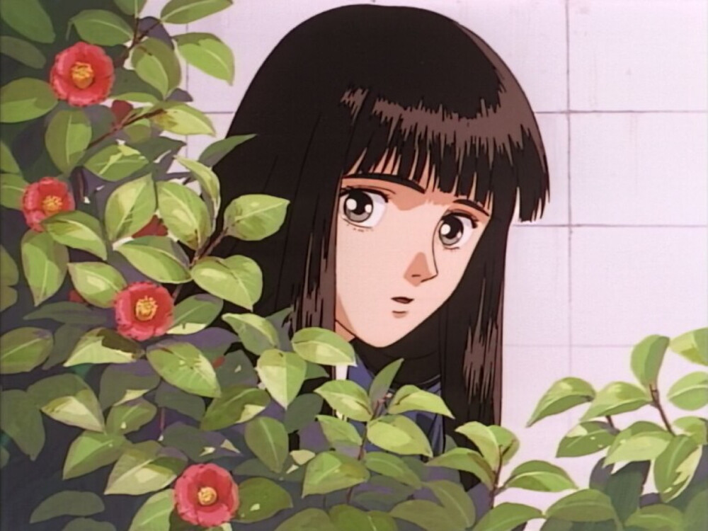 anime ♥