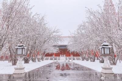 「春有百花冬有雪」。
文华殿，整个故宫最少女心的角落，海棠花在一场雪后由粉雕玉砌的红妆蜕变为素裹银妆。
摄影@刘顺儿妞
#故宫梦远##故宫花谱##恋上冬日# ​​​