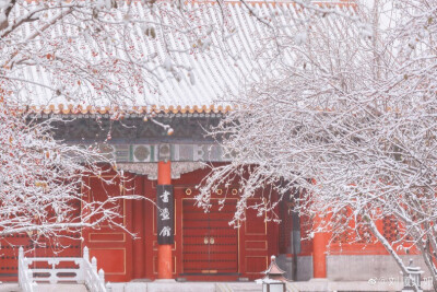 「春有百花冬有雪」。
文华殿，整个故宫最少女心的角落，海棠花在一场雪后由粉雕玉砌的红妆蜕变为素裹银妆。
摄影@刘顺儿妞
#故宫梦远##故宫花谱##恋上冬日# ​​​