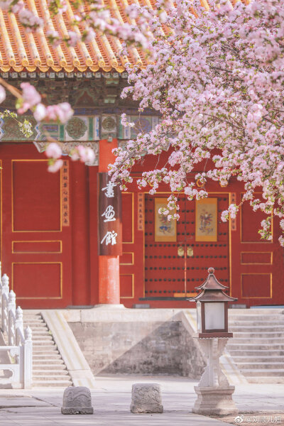 「春有百花冬有雪」。
文华殿，整个故宫最少女心的角落，海棠花在一场雪后由粉雕玉砌的红妆蜕变为素裹银妆。
摄影@刘顺儿妞
#故宫梦远##故宫花谱##恋上冬日# ​​​