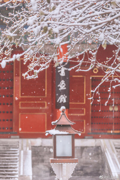 「春有百花冬有雪」。
文华殿，整个故宫最少女心的角落，海棠花在一场雪后由粉雕玉砌的红妆蜕变为素裹银妆。
摄影@刘顺儿妞
#故宫梦远##故宫花谱##恋上冬日# ​​​