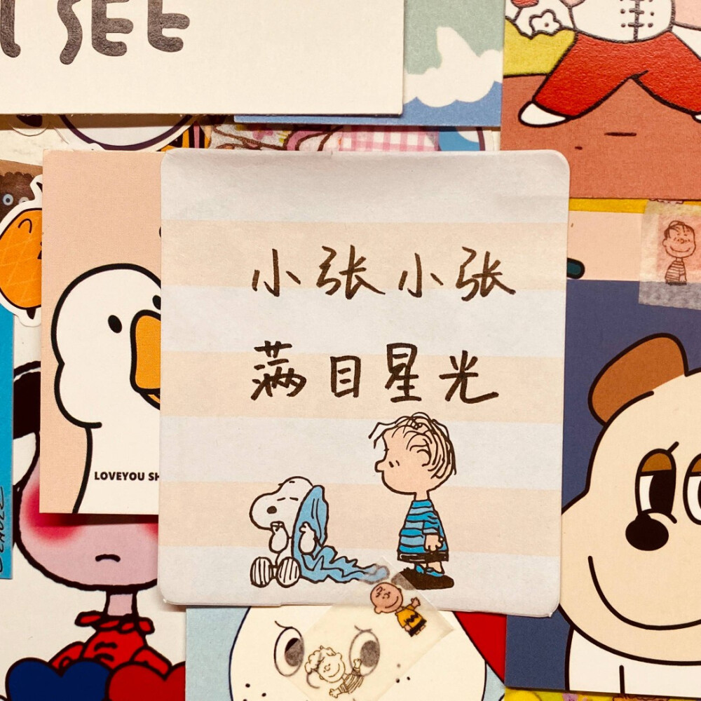 小张小张
