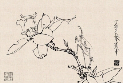 白描小品