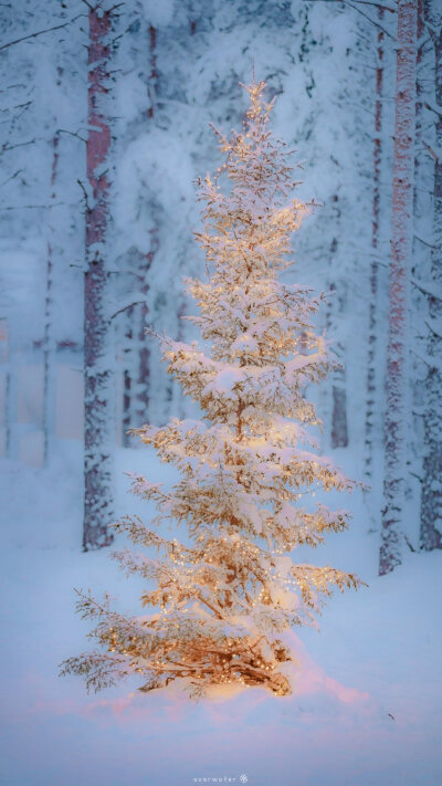 雪景圣诞壁纸